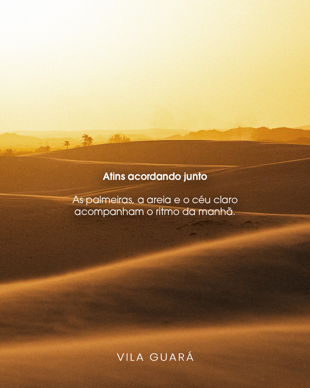 Dia inteiro 5